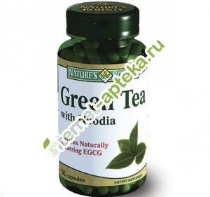 Нэйчес Баунти Зеленый чай с худией 50 капсул (Natures Bounty Green Tea with Hoodia)