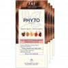  PHYTO COLOR 7.43    -   (4 ) Phytosolba Phyto Color PHYTO (H1001131NAB)